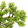 Produkta sīktēla attēls 5 no 7