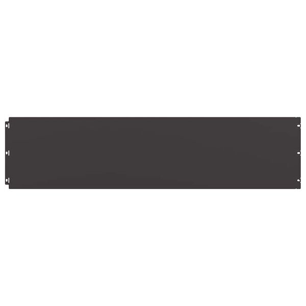 vidaXL Zālāju apmales 10 gab Melns 25x103 cm Auksti velmēts tērauds