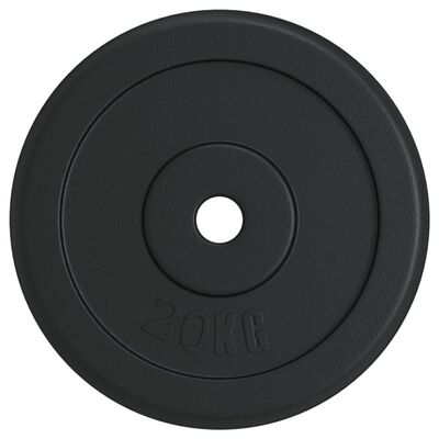 vidaXL svaru disks, 40 kg, čuguns