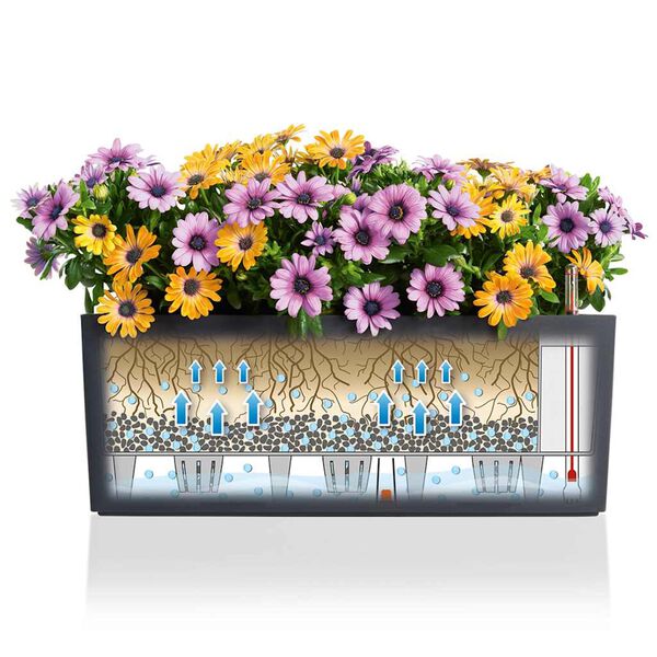 Showing Product Image 4 of 13