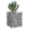 vidaXL Gabions pacelta gulta Sudraba 50 x 50 x 60 cm Cinkots tērauds