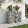 vidaXL Gabions pacelta gulta Sudraba 100 x 50 x 80 cm Cinkots tērauds