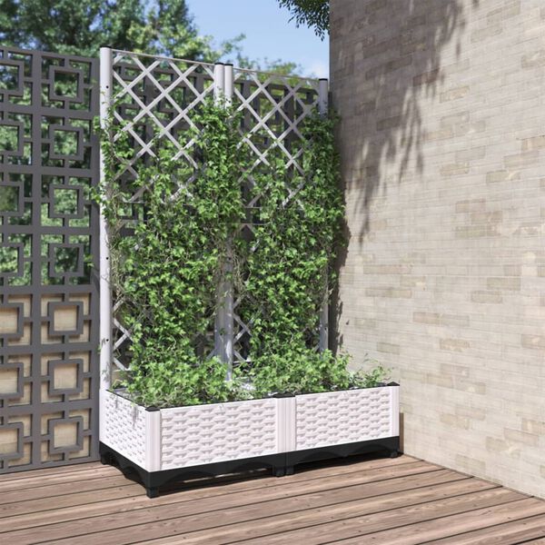 Showing Product Image 1 of 7