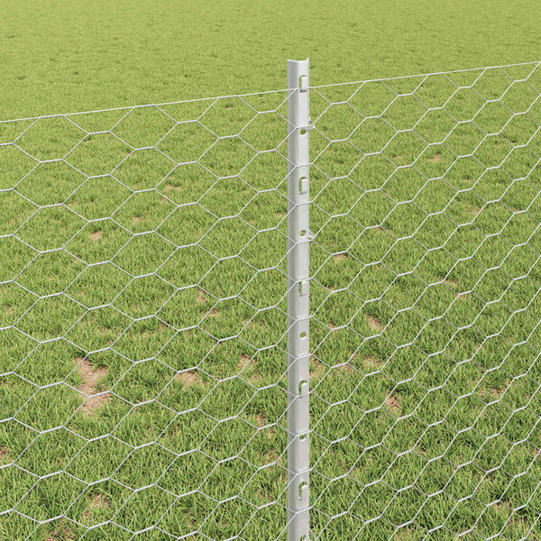 vidaXL Žogs ar stabu Sudraba 1 x 100 m Tērauds