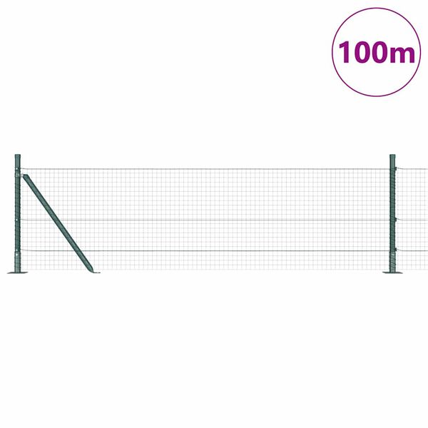 vidaXL Žoga āķis Zaļa 100 x 0,4 m (25 x 25 mm acu) Tērauds un PVC