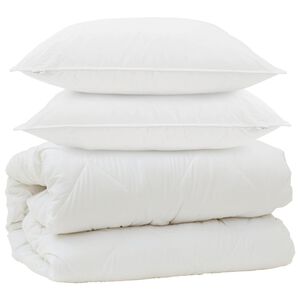 vidaXL Sega ar spilveniem ar spilvenu 3 pcs Balts Mikro&scaron;ķiedra