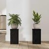 vidaXL Augu statīvs 2 pcs Melns ozolkoks 10 x 10 x 18 cm