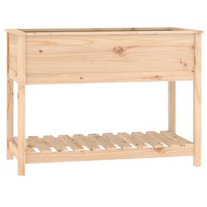 vidaXL puķu kaste ar plauktu, pelēka, 111,5x54x81cm, priedes masīvkoks