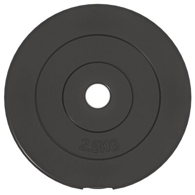 vidaXL svaru diski, 6 gab., 30 kg, cements