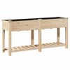 vidaXL Dārza stādītājs Bē&scaron;a 161 x 43 x 76,5 cm Masīvs egle koks