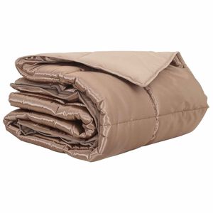 vidaXL Vasaras segas Zelts 200 x 135 cm Satīns un mikro&scaron;ķiedra