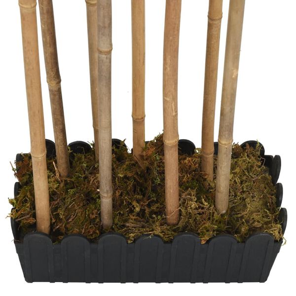 Showing Product Image 4 of 5