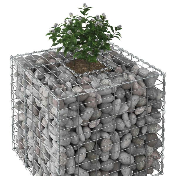 vidaXL Gabions pacelta gulta Sudraba 60 x 60 x 55 cm Cinkots tērauds