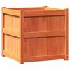 vidaXL dārza puķu kaste, vaska brūnas, 60x60x60 cm, priedes masīvkoks