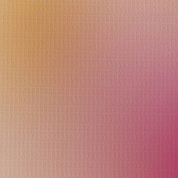 vidaXL istabas aizslietnis, 120x170 cm, saliekams, ziedu apdruka