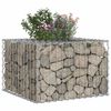 vidaXL Gabions pacelta gulta Sudraba 60 x 60 x 40 cm Cinkots tērauds