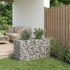 vidaXL Gabions pacelta gulta Sudraba 100 x 60 x 55 cm Cinkots tērauds