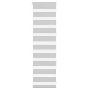 vidaXL žalūzijas zebra 50x100 cm auduma platums 45,9 cm poliesters