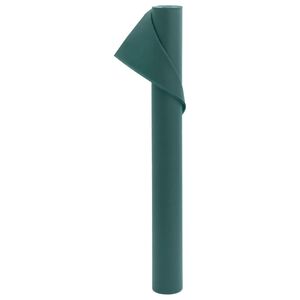 vidaXL augu pārsegs, 70 g/m&sup2;, 10x1,6 m
