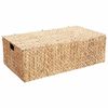 vidaXL Uzglabā&scaron;anas kaste Dabiska 60 x 38 x 20 cm Ūdens hiacintes