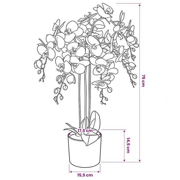 Showing Product Image 3 of 3