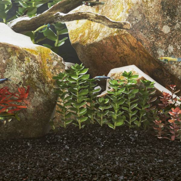 Showing Product Image 2 of 5