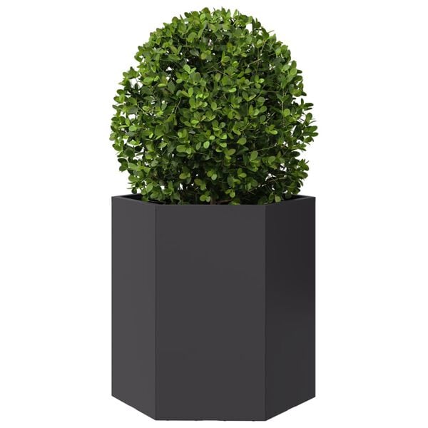 Showing Product Image 3 of 10
