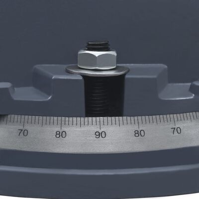 vidaXL grozāmas skrūvspīles, čuguns, 160 mm
