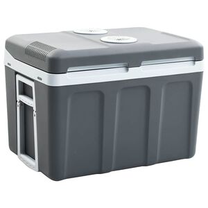 vidaXL pārnēsājama dzesē&scaron;anas kaste, termoelektriska, 40 L, 12V, 230V