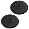 vidaXL svaru disks, 40 kg, čuguns