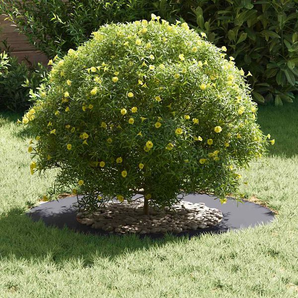 vidaXL piemērots plakaniem koka gredzeniem 5 pcs Antracīts &Oslash;40 / 70 cm