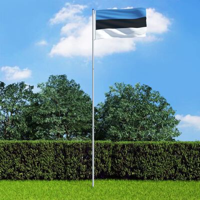 vidaXL Igaunijas karogs un karoga masts, alumīnijs, 6 m