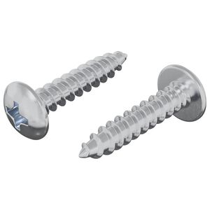 vidaXL Koka skrūves 2 gab. Sudraba M4 x 20 mm Tērauds