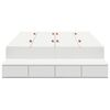vidaXL Gultas ar uzglabā&scaron;anas vietu Balts 120 cm Inženierijas koks