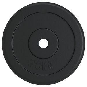 vidaXL svaru disks, 20 kg, čuguns