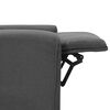 vidaXL masāžas krēsls, paceļams, gai&scaron;i pelēks audums