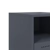 vidaXL naktsskapī&scaron;i,2 gab., antracītpelēki, melni 36x39x605 cm, tērauds