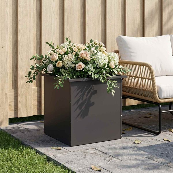 Showing Product Image 2 of 12