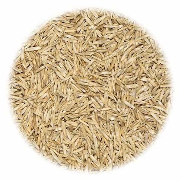 vidaXL zāliena sēklas sporta un rotaļu laukumiem, 30 kg