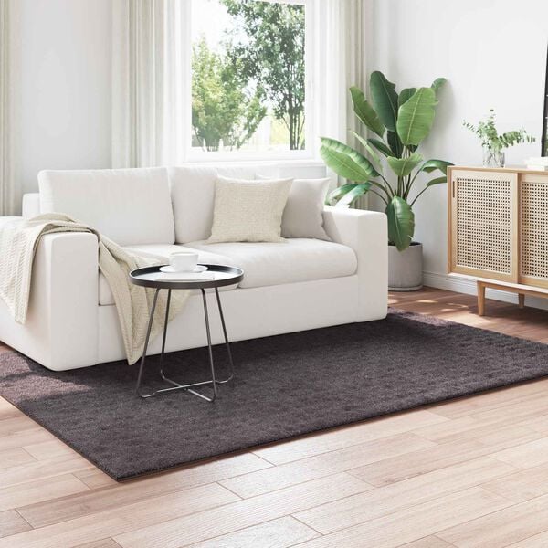 vidaXL Teritorijas paklāji Taisnstūra Antracīts 170 x 120 cm