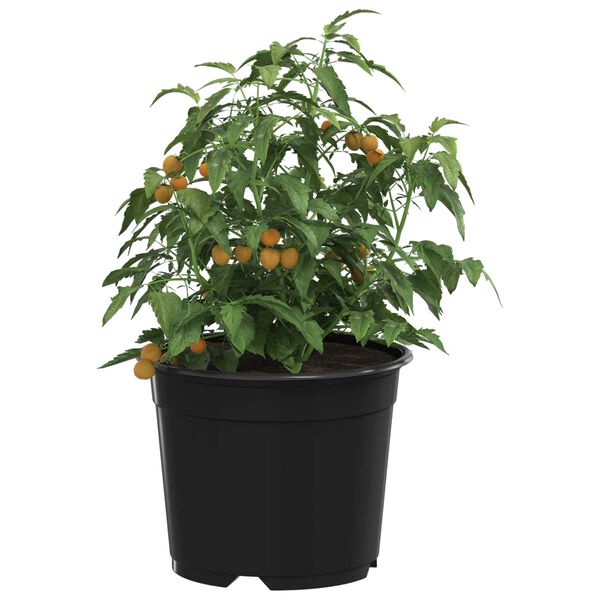 Showing Product Image 3 of 11