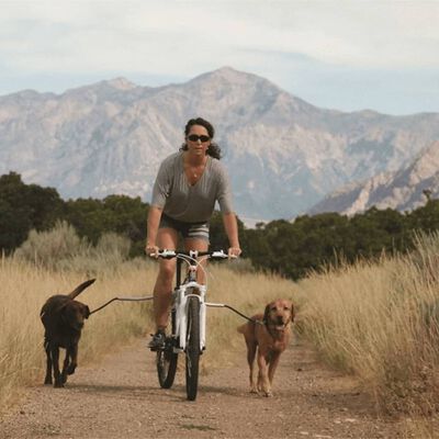 PetEgo universāla velosipēdu suņu pavada Cycleash, 85 cm