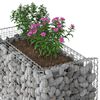 vidaXL Gabions pacelta gulta Sudraba 50 x 100 x 100 cm Cinkots tērauds
