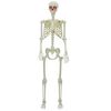 vidaXL Halloween skelets Balts 155 x 38.5 cm Plastmasa