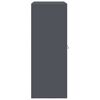 vidaXL Skapītis Antracīts 90 x 40 x 105 cm Tērauds