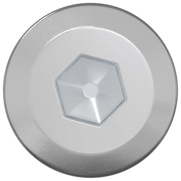 vidaXL Koka skrūves 12 pcs Sudraba M6 x 70 mm Tērauds