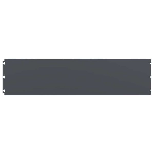 vidaXL Zālāju apmales 20 gab Antracīts 25x103cm Auksti velmēts tērauds