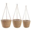 vidaXL Jūras zāles augu grozi 3 pcs Dabiska &Oslash;26 x 19 cm