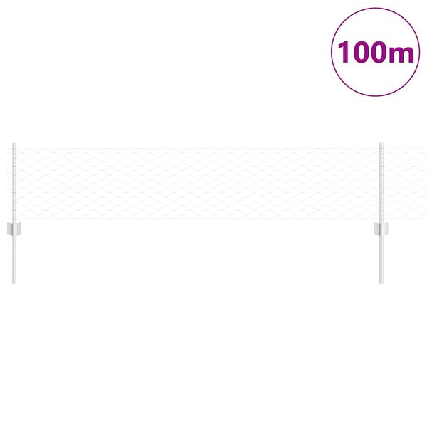vidaXL Žogs un Stabi Sudraba 0,4 x 100 m Tērauds