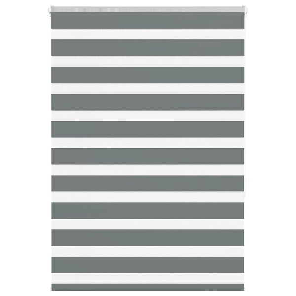vidaXL žalūzijas zebra 100x150 cm auduma platums 95,9 cm poliesters